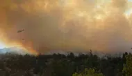 Bilecik'te orman yangını korkusu bitti