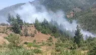Feke ormanlarında dumanlar yükseliyor