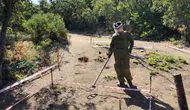 Tunceli'de terörün izleri siliniyor Mayınlı topraklar yeniden hayat buluyor
