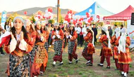 Malatya’da koruyucu aileler için şenlik düzenlendi
