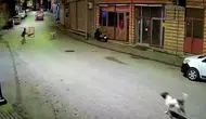 Ordu’da sokak köpekleri skuter süren çocuğu kovaladı