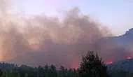 Alanya'da orman yangını kontrolden çıktı