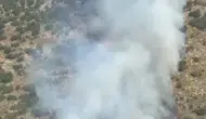 Demre ormanlarında yangın alarmı