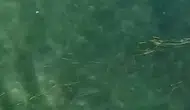 Erdek'te boğulan kişiyi dron operatörü kurtardı