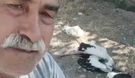 Çankırı'da bahçesindeki leylekleri ölü bulan adamın acı dolu anları