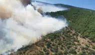 Yalova ormanlarında çıkan yangın ekipleri harekete geçirdi