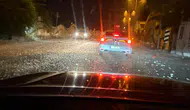 Sakarya’da milyonlarca kelebek ışıklara kapılıp telef oldu