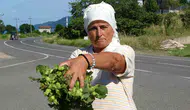 Ordu tezgahlarında taze fındık dönemi başladı