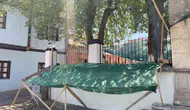 Eskişehir’de cami bahçesindeki dut ağacına fileli çözüm