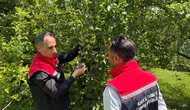 Sarıkamış'ta meyve hasadını ikiye katlayacak 5 kritik adım