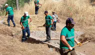 Ayvalık'ta yangın riskine karşı ot temizliği mesaisi
