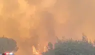 Susurluk'ta orman yangını evlere yaklaştı