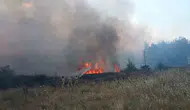 Muğla’da kaynak makinesi yangını ormana sıçrattı