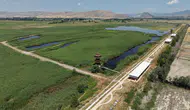 Tokat Kaz Gölü beş yıldır neden kapalı tutuluyor?