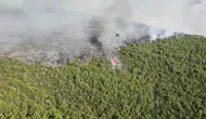 Milas ormanlarında alevlerle büyük mücadele