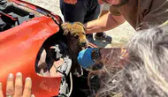 Söke'de tampona sıkışan yavru köpek için seferberlik