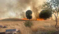 Adıyaman’da trafo patlaması ormanı küle çevirdi