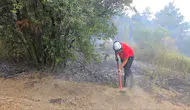 Mudanya zeytinliklerindeki yangın korkuttu