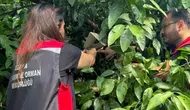Adana bahçelerini istila eden sinek için seferberlik başladı