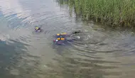 Sapanca Gölü'ndeki gizemli beyaz tabakanın ne olduğu anlaşıldı