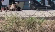 Hatay'da dehşet anları sonrası şaşırtan karar