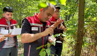 Edirne tarlalarını korumak için 728 samuray arıcığı göreve başladı