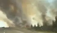 Nusaybin sınırındaki mayınlı arazide yangın paniği
