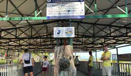 İztuzu’nda Caretta Carettaların Yaşam Mücadelesine Yakından Bakış