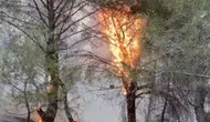 Ayvalık Çamoba’daki orman yangını başarıyla söndürüldü