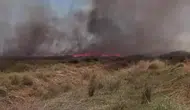 Denizli’de tarlalar yanıyor ekipler rüzgara karşı savaşıyor