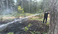 Karabük Eflani’de orman yangını korkusu erken müdahale ile bitti