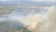 Torbalı ormanlarında yangın paniği yaşanıyor