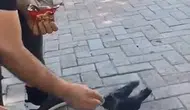 Elazığ sokaklarında aç kalan kargayı bir vatandaş kurtardı