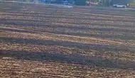 Eskişehir’de bahçe temizliği yangınla bitti