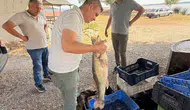 Beyşehir Gölü balıkçılarına ve satış noktalarına sıkı denetim