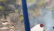 Aydın Bozdoğan'da orman yangını korkuttu