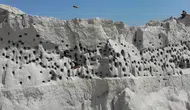 Yozgat'taki şantiye sahası kuşlar için gökdelene dönüştü
