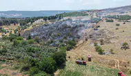 Muğla’daki yangında iki dönüm alan küle döndü