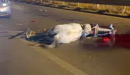Birecik Köprüsünde trafik kazası At telef oldu