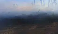 Karabük'te otomobil yangını ormana sıçramadan söndürüldü