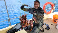 Antalya kıyılarındaki zehirli istilacıya karşı sofralı çözüm