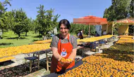 Iğdırlı kadınların güneş mesaisi ekonomiye can veriyor