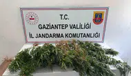 Gaziantep'te uyuşturucu operasyonu 8 kişi yakalandı