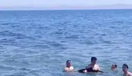 Şarköy sahilinde tatilcilerin yeni arkadaşı yavru bir yunus oldu