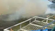 Aydın Kuyucak'ta orman yangını paniği