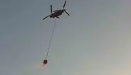 Bozdoğan’daki yangına uçan dev müdahale