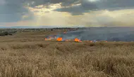 İpsala’da buğday tarlaları alevlere teslim olmaktan kurtuldu