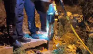 Hatay'da demir boruya sıkışan kirpiyi itfaiye kurtardı