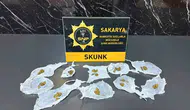 Serdivan merkezli uyuşturucu baskınında bir kişi tutuklandı