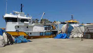 Karadenizli balıkçılardan palamut beklentisi